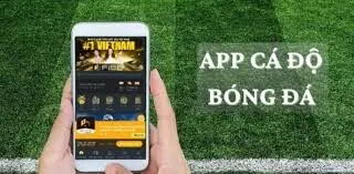 App cá độ của Nhatvip sẽ giúp cho bạn trải nghiệm nhiều điều thú vị